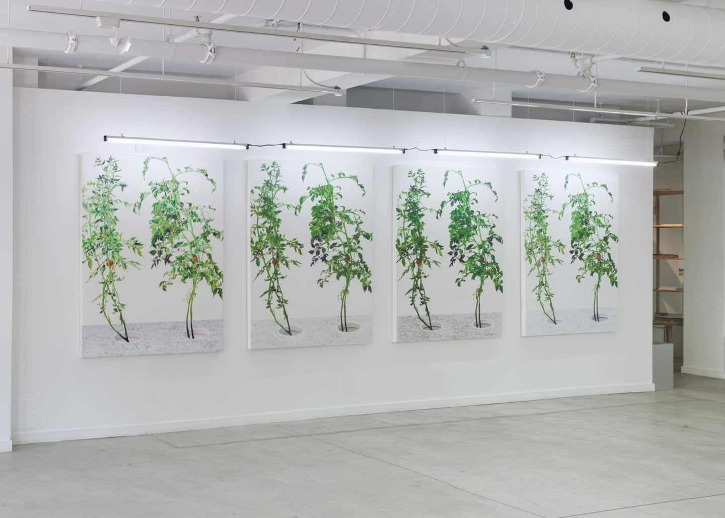 Alex Fischer, VII, 2015,  (4×) 60×48in  oil on canvas, installed in 1, 7 and 6000, O'Born Contemporary